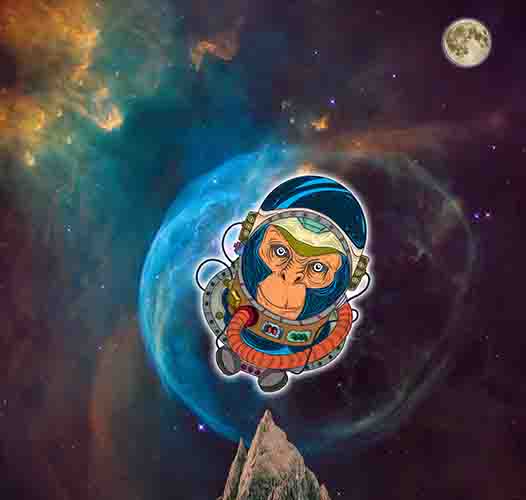 monkey-in-space1
